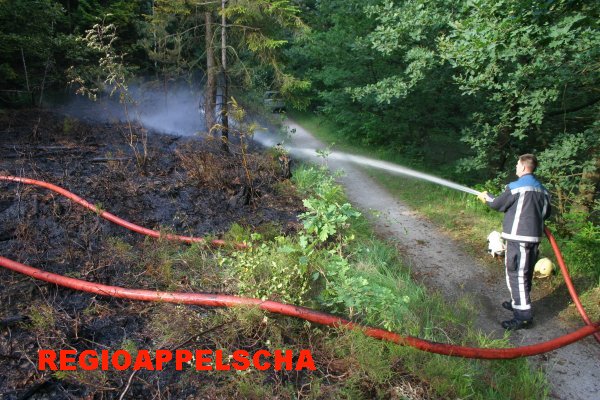 Regio Appelscha